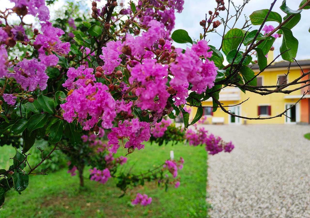 Yard 151 Appartement Noventa di Piave Buitenkant foto